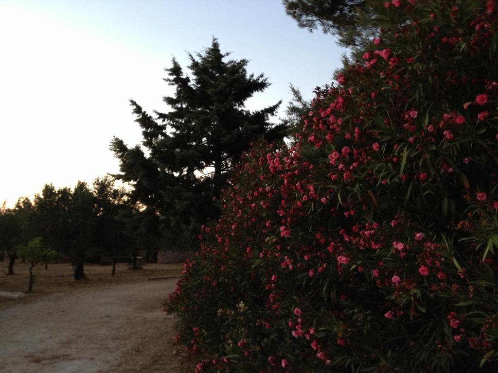 Вилла La Giara San Vito Lo Capo Кастеллуццо Экстерьер фото